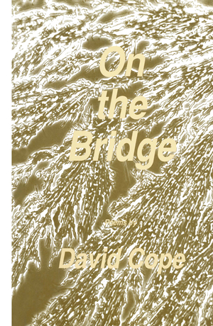 ISBN 9780896031142: On the Bridge