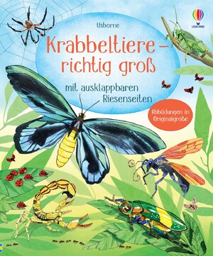 ISBN 9781035701094: Krabbeltiere - richtig groß - mit ausklappbaren Riesenseiten – Sachbilderbuch zum Thema Insekten – für Kinder ab 4 Jahren