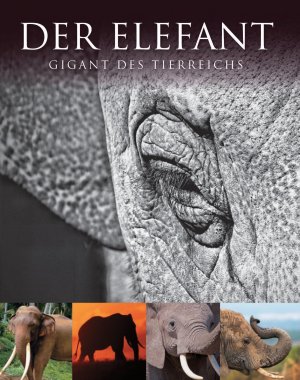 ISBN 9781445410180: Abenteuer Wildnis: Elefant