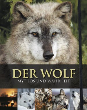 ISBN 9781472307125: Der Wolf - Boxset - Buch & DVD