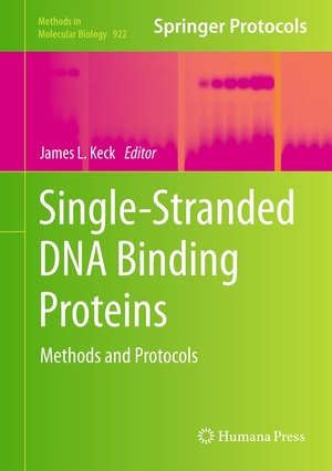 ISBN 9781627030311: Single-Stranded DNA Binding Proteins