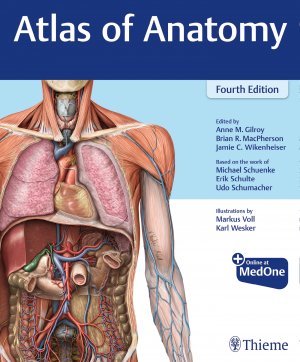 neues Buch – Anne M Gilroy Brian R MacPherson Jamie Wikenheiser Michael Schuenke Erik Schulte Udo Schumacher – Atlas of Anatomy