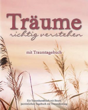 ISBN 9781781864302: Träume richtig verstehen - Mit Traumtagebuch