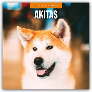 ISBN 9781804424179: Akitas – Akita 2025 – 16-Monatskalender - Original Red Robin Publishing Ltd-Kalender [Mehrsprachig] [Kalender]