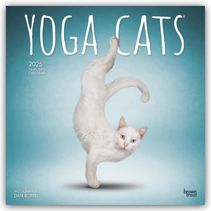 ISBN 9781975479862: Yoga Cats - Yoga-Katzen 2025 - 16-Monatskalender