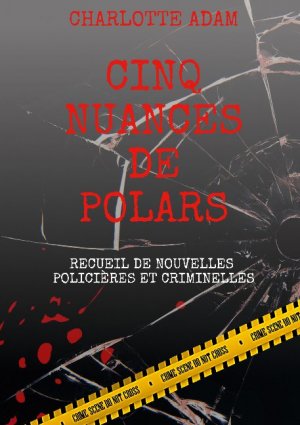 ISBN 9782322206421: Cinq nuances de polars / Recueil de nouvelles policières et criminelles / Charlotte Adam / Taschenbuch / Paperback / 264 S. / Französisch / 2020 / BoD - Books on Demand / EAN 9782322206421