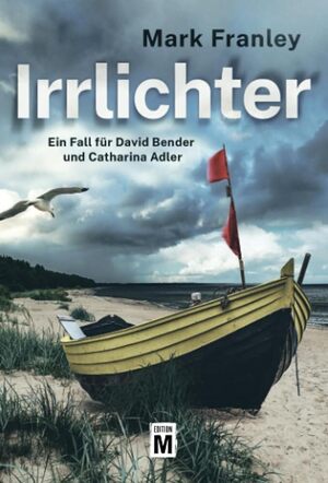 ISBN 9782496713824: Irrlichter