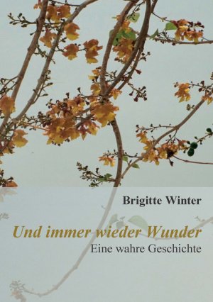 ISBN 9783000525629: Und immer wieder Wunder - Eine wahre Geschichte