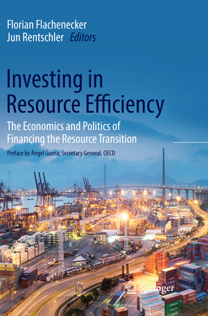 ISBN 9783030076689: Investing in Resource Efficiency – The Economics and Politics of Financing the Resource Transition