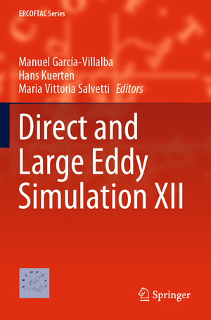 ISBN 9783030428242: Direct and Large Eddy Simulation XII