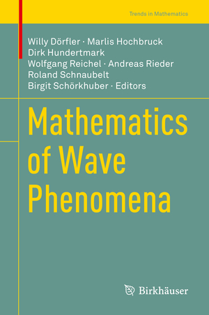 neues Buch – Willy Dörfler – Mathematics of Wave Phenomena