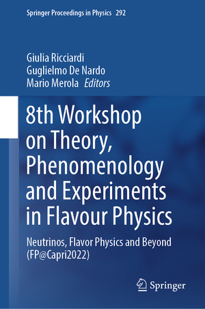 ISBN 9783031304583: 8th Workshop on Theory, Phenomenology and Experiments in Flavour Physics