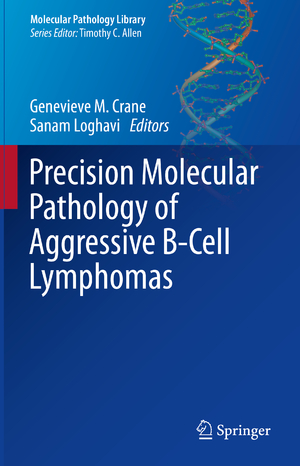 ISBN 9783031468414: Precision Molecular Pathology of Aggressive B-Cell Lymphomas