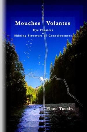 ISBN 9783033003378: Mouches Volantes – Eye Floaters as Shining Structure of Consciousness