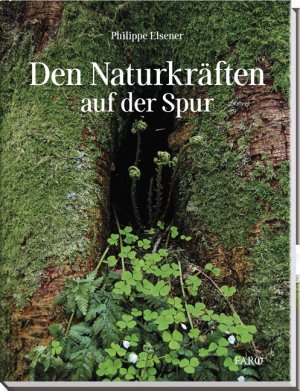 ISBN 9783037810576: Den Naturkräften auf der Spur