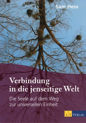 ISBN 9783038007265: Verbindung in die jenseitige Welt - Die Seele auf dem Weg zur universellen Einheit