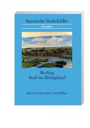 ISBN 9783093038198: Roding – Stadt im Königsland