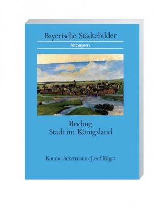 ISBN 9783093038198: Roding - Stadt im Königsland