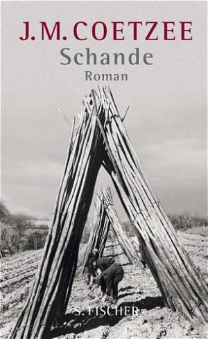 ISBN 9783100108326: Schande: Roman Roman