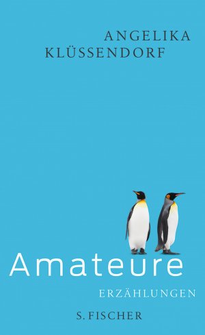 ISBN 9783100382030: Amateure – Erzählungen
