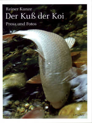 gebrauchtes Buch – Reiner Kunze – Der Kuß der Koi: Prosa und Photos - signiert