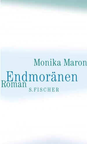 gebrauchtes Buch – Monika Maron – Endmoränen. Roman