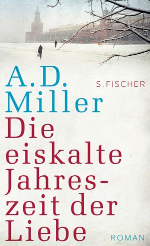 ISBN 9783100490193: Die eiskalte Jahreszeit der Liebe