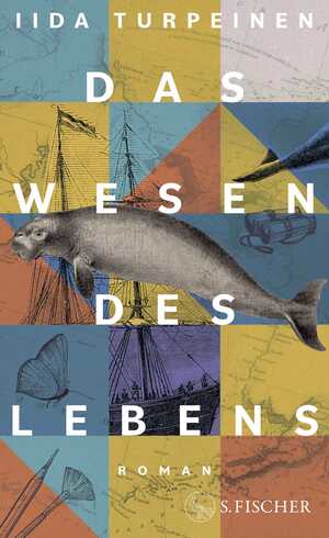 neues Buch – Iida Turpeinen – Das Wesen des Lebens | Roman | Iida Turpeinen | Buch | 320 S. | Deutsch | 2024 | FISCHER, S. | EAN 9783103976304