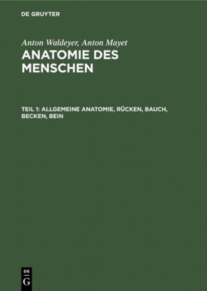 ISBN 9783110059847: Allgemeine Anatomie, Ruecken, Bauch, Becken, Bein