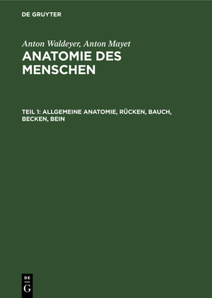 ISBN 9783110059847: Anton Waldeyer; Anton Mayet: Anatomie des Menschen / Allgemeine Anatomie, Rücken, Bauch, Becken, Bein