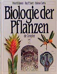 ISBN 9783110114768: Biologie der Pflanzen