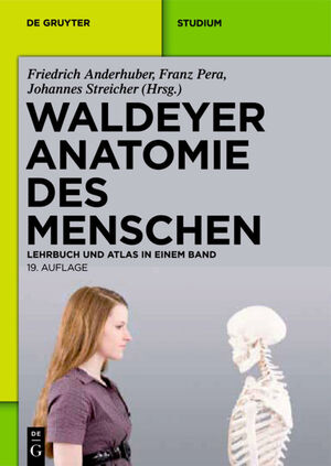 ISBN 9783110228625: Waldeyer - Anatomie des Menschen., Lehrbuch und Atlas in einem Band ; [44 Tabellen].