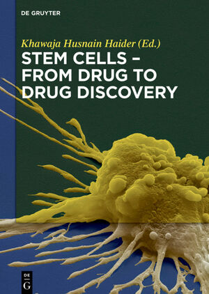 ISBN 9783110496284: Stem Cells - From Drug to Drug Discovery