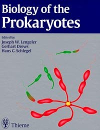 ISBN 9783131084118: Biology of the Prokaryotes