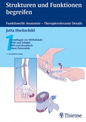 ISBN 9783131104236: Strukturen und Funktionen begreifen. Funktionelle Anatomie - Therapierelevante Details / 1: Grundlagen zur Wirbelsäule, HWS und Schädel, BWS und Brustkorb, Obere Extrem