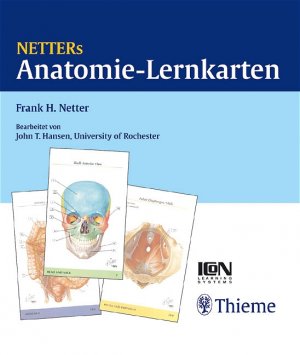 Frank H. Netter John T Hansen - Netters Anatomie-Lernkarten Netter's Anatomie Lernkarten Das Lern-Tool fr Prfung und Prp-Kurs