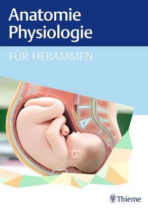 neues Buch – Anatomie und Physiologie für Hebammen | Buch | 580 S. | Deutsch | 2023 | Thieme | EAN 9783132442627