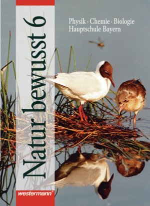 gebrauchtes Buch – Rainer Hausfeld – Natur bewusst 6. Physik - Chemie - Biologie (Hauptschule Bayern)