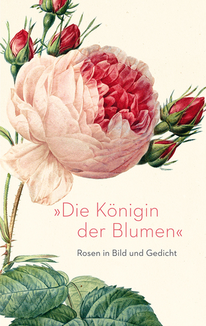 neues Buch – Eva Hoffmeier – Die Königin der Blumen«