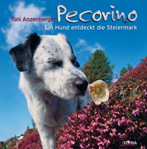 ISBN 9783222131745: Pecorino – Ein Hund entdeckt die Steiermark