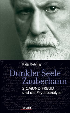 ISBN 9783222131967: Dunkler Seele Zauberbann