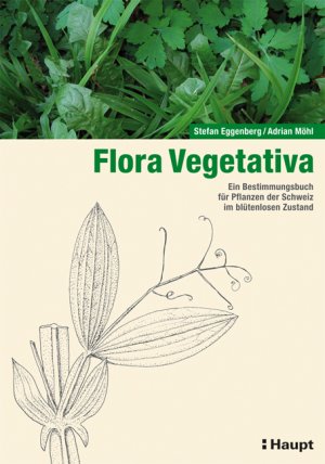 ISBN 9783258071794: Flora Vegetativa