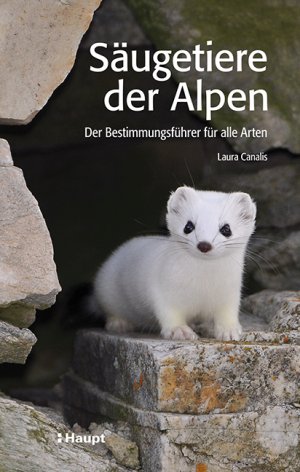 ISBN 9783258077901: Säugetiere der Alpen: Der Bestimmungsführer für alle Arten Der Bestimmungsführer für alle Arten