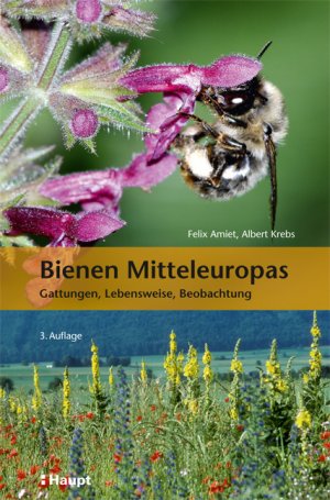 ISBN 9783258081045: Bienen Mitteleuropas: Gattungen, Lebensweise, Beobachtung [Paperback] Felix Amiet; Albert Krebs and Andreas Müller