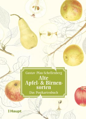 ISBN 9783258081106: Alte Apfel- & Birnensorten - Das Postkartenbuch