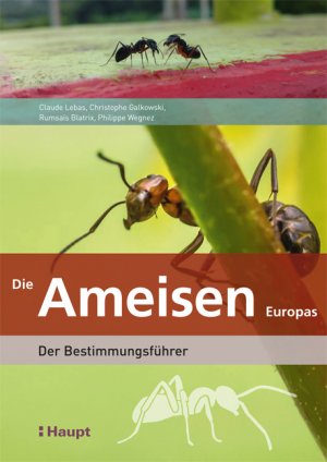 ISBN 9783258081274: Die Ameisen Europas - Der Bestimmungsführer