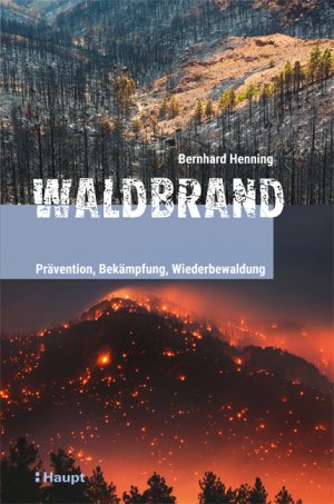 ISBN 9783258081380: Waldbrand – Prävention, Bekämpfung, Wiederbewaldung