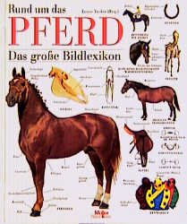 Rund Um Das Pferd