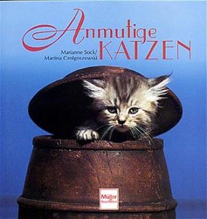 ISBN 9783275012442: Anmutige Katzen