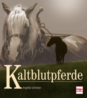 ISBN 9783275016990: Kaltblutpferde